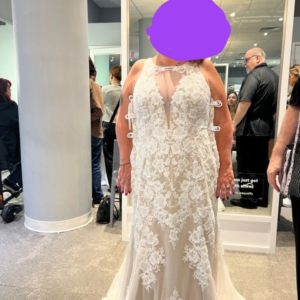 Signature Lace Wedding Dress in White and Cream